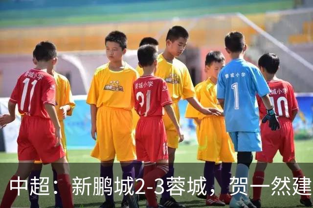 中超：新鹏城2-3蓉城，贺一然建功，韦世豪点射&绝杀