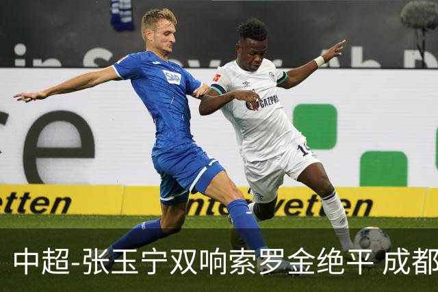 中超-张玉宁双响索罗金绝平 成都连扳两球2-2国安4连平