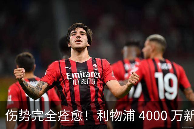 伤势完全痊愈！利物浦 4000 万新援迎世界杯首秀，西班牙边路解燃眉之急