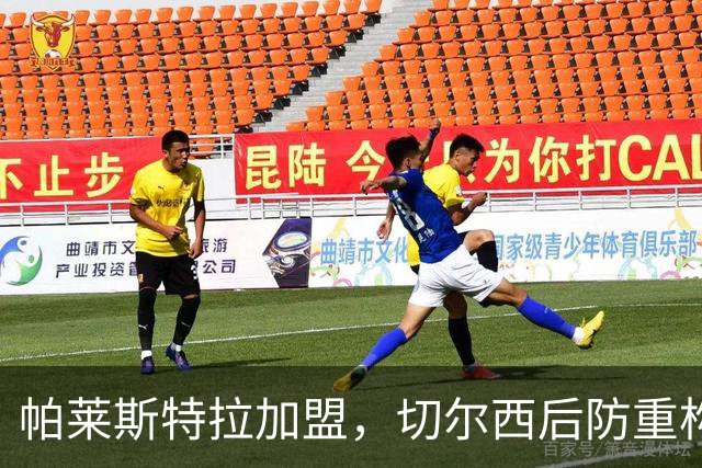 帕莱斯特拉加盟，切尔西后防重构利与弊，青训新星转型中卫有深意