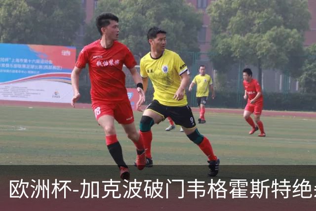 欧洲杯-加克波破门韦格霍斯特绝杀 荷兰2-1波兰
