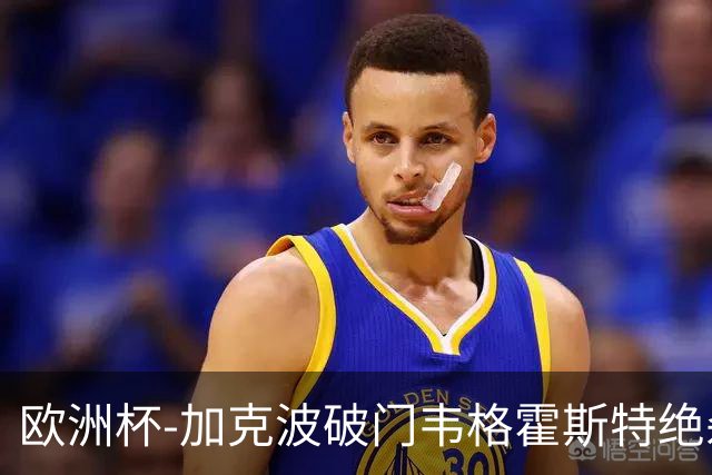 欧洲杯-加克波破门韦格霍斯特绝杀 荷兰2-1波兰