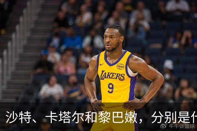 沙特、卡塔尔和黎巴嫩，分别是什么水平？