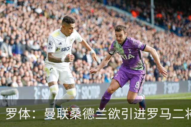 罗体：曼联桑德兰欲引进罗马二将，被告知必须满足心理价位